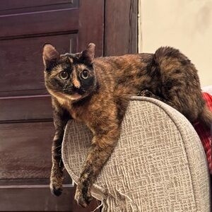 Meet your Posher, Claire